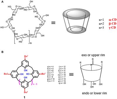 Supramolecular Organocatalysis in Water Mediated by Macrocyclic Compounds